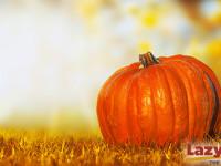 It's Pumpkin Season!, RV Lifestyle & Tips