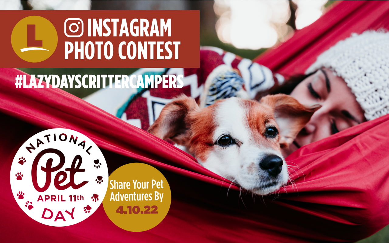 national-pet-day-instagram-contest-lazydays-rv